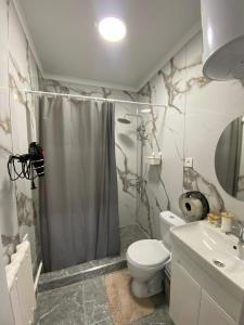 a bathroom with a shower and a toilet and a sink at Hostel Saruu in Bishkek