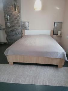 a bedroom with a large bed and a shower at Apartman ClaRa in Štúrovo