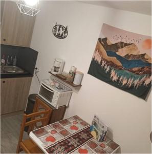 a kitchen with a stove and a painting on the wall at Tout compris 5pers à Bg St Maurice therighthouse in Bourg-Saint-Maurice