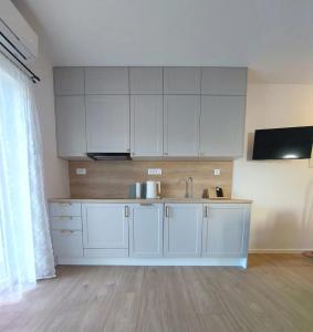 Kuhinja oz. manjša kuhinja v nastanitvi Apartman Villeto