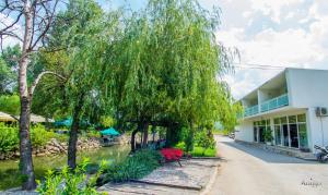 uma árvore em frente a um edifício em Autocamp LAKS em Blagaj