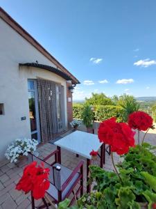 Balkoni atau teres di Castello di Fulignano Leonardo superior apartment ground floor