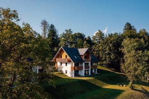 eine Luftansicht eines Hauses im Wald in der Unterkunft Mlino Alpino in Bled