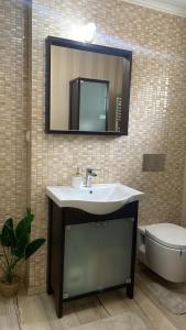 a bathroom with a sink and a toilet and a mirror at Tudor Apartament in Ocna-Mureşului