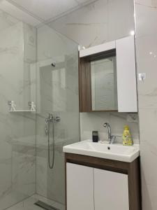 y baño con lavabo blanco y ducha. en E&M Apartman, en Struga