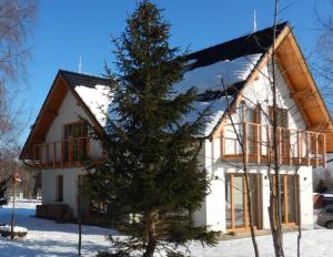 uma casa com uma árvore de Natal em frente em Chalet Deer Trail Tatranská Lomnica em Tatranská Lomnica