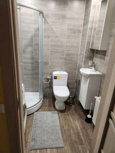 een badkamer met een douche, een toilet en een wastafel bij Svitene apartmets in Svitene