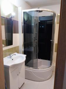 a bathroom with a shower and a sink at Krásny apartmán v centre Rožňavy in Rožňava