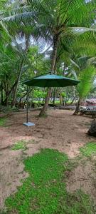 Kebun di luar Green Island Homestay Riverside