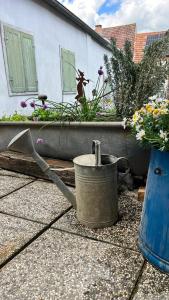 uma lata de água e um vaso azul com flores em LandLibe 