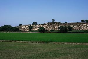 ein großes, grünes Feld mit einem Hügel im Hintergrund in der Unterkunft Herdade de Montalvo - Comporta in Comporta