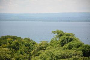 een uitzicht op een grote hoeveelheid water met bomen bij Parkview Safari Hotel & Apartments in Kisumu