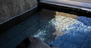 une piscine d'eau au sol à côté d'un bâtiment dans l'établissement Sennenmatsu, à Imabari