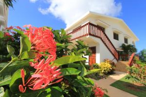 une maison avec une fleur rouge devant elle dans l'établissement Carimar Beach Club, à Meads Bay