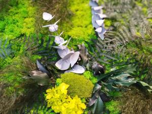 um grupo de borboletas numa rocha musculada com flores em Sole Boutique Hotel em Vipiteno