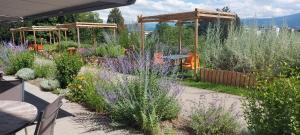 um jardim com flores roxas e estruturas de madeira em Le Domaine (Swiss Lodge) em Fribourg