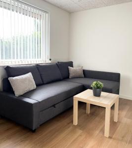 Lovely Billund Apartment, 2 min from Lego House tesisinde bir oturma alanı