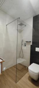 a bathroom with a toilet and a glass shower stall at HANESI apartments Luhačovice in Luhačovice