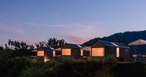 a row of houses in a field at dusk at Bobocabin Gunung Rinjani, Lombok in Sembalun Lawang