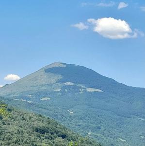 een uitzicht op een berg met bomen erop bij Ljetna bašta "LISIN"Bradina Konjic in Konjic