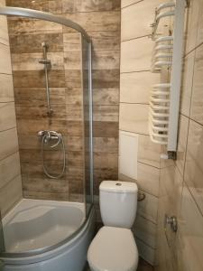 een kleine badkamer met een toilet en een douche bij relax apartament in Skarżysko-Kamienna