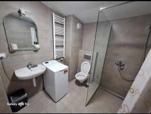 Ванна кімната в Apartman Centrala