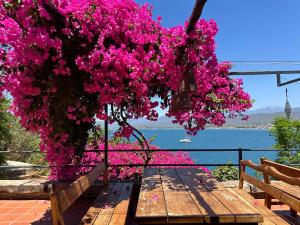 Um ramo de flores cor-de-rosa pendurado num banco. em Ece Hotel Sovalye Island em Fethiye