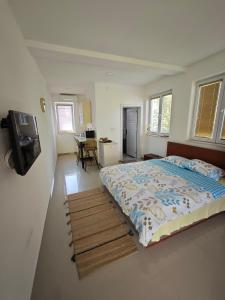 1 dormitorio con 1 cama y TV. en Apartments Three Ohrid, en Ohrid