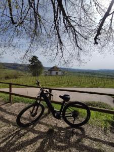 Vožnja biciklom pokraj objekta Appartement Sulzbachtal in Lahr, Nähe Europapark, Nähe Rulantica ili u blizini