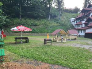 Garden sa labas ng Cristal Sinaia