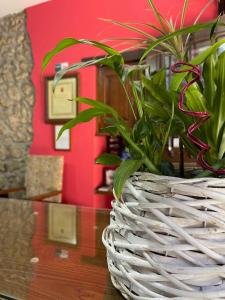 una planta en una cesta de mimbre sentada en una mesa en La Posada del Rey, en Llanes