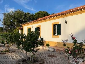 uma pequena casa amarela com um pátio e árvores em Quinta do Marmeleiro em Santiago do Cacém