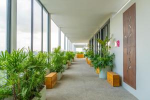 un couloir avec des plantes en pot dans un immeuble de bureaux dans l'établissement Hotel Mio Riviera Nayarit Unique & Different Adults Only, à Nuevo Vallarta