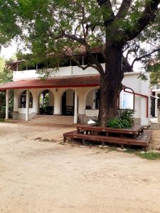 een boom met banken voor een gebouw bij Gatetrees resort in Jaffna