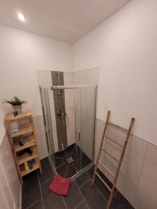 a shower in a bathroom with a red floor at Apartment mit beach flair in Garz-Rügen