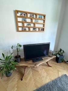 Televisi dan/atau pusat hiburan di Apartmán Luhačovice