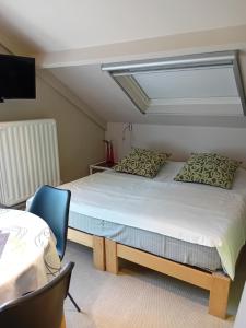 een slaapkamer met 2 bedden en een televisie en een bed sidx sidx sidx bij B&B Roseland in Brugge