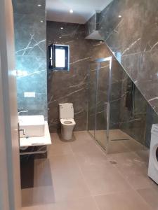 uma casa de banho com um WC e uma cabina de duche em vidro. em Ionian Stone Luxury Villas em Nikiana