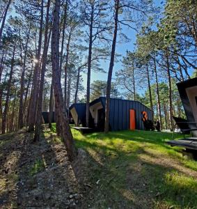 a group of tiny houses in the woods at FLY House Łeba in Łeba