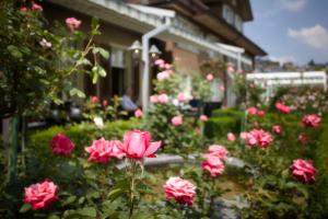 Vrt u objektu Landgasthof Hotel Rössli