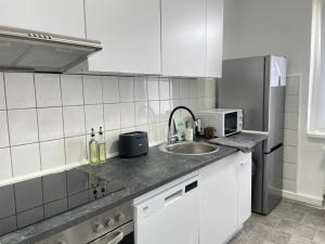 uma cozinha branca com um lavatório e um micro-ondas em Loft & Living am Geiseltalsee em Braunsbedra