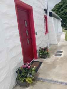 une porte rouge sur un bâtiment blanc avec des plantes en pot dans l'établissement Tiernan's Luxury Cottages, à Charlestown