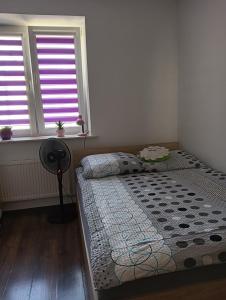 sypialnia z łóżkiem i 2 oknami w obiekcie Apartament w mieście Stalowa Wola