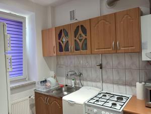 kuchnia ze zlewem, kuchenką i szafkami w obiekcie Apartament w mieście Stalowa Wola