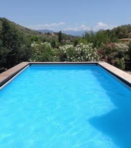 A piscina localizada em L'Alivu ou nos arredores