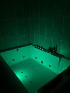 a green bath tub in a green room at Mozart Cosy Love room in Chasse-sur-Rhône