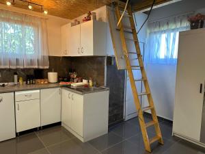 A kitchen or kitchenette at Apartman Aerodrom