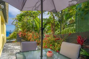 Afbeelding uit fotogalerij van Sky & Ocean 1st Floor Apartment in Calheta