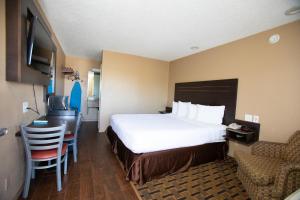 ein Hotelzimmer mit einem Bett und einem Schreibtisch in der Unterkunft Budget Inn Expressway Hub in Rohnert Park