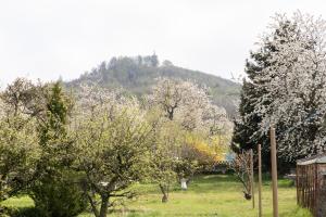 Tatil evi yakınında doğal manzara